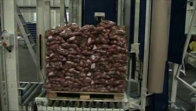 1305 Potatoes 2,5 kg plastic bags