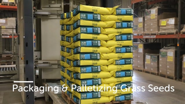 5202 Packaging & Palletizing Grass Seeds 10kg paper bags