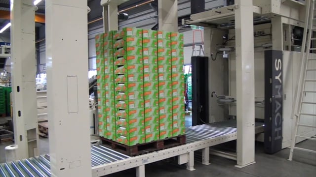 8502 Carton boxes 10 pattern green double gripper